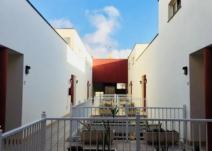 Surfing, Sun And Fun